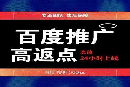 成功案例解析：SEM竞价托管运营策略
